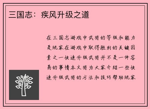 三国志：疾风升级之道